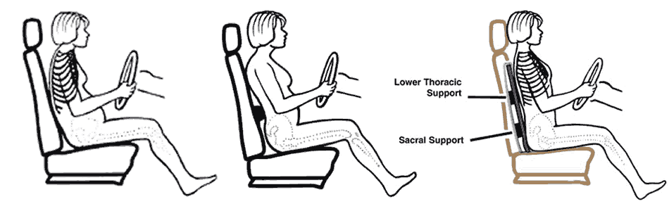 Thoracic Lumbar Back Support, Sitting Posture