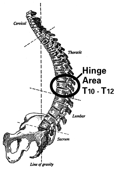 3 Reasons to Avoid Driving with Lumbar Support