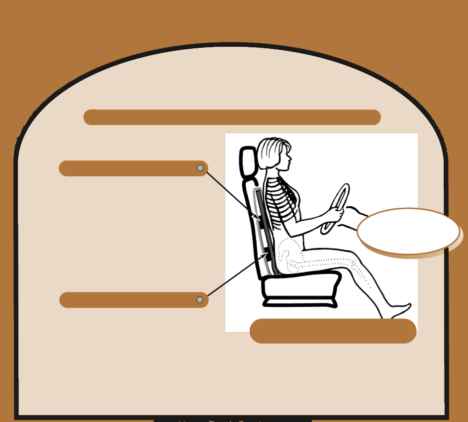 yogaback system
