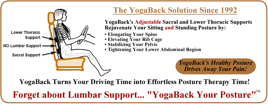 Lower back on sale support while driving