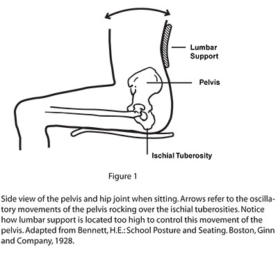 Optimal Sitting Position While Driving Lumbar Support! What Kind